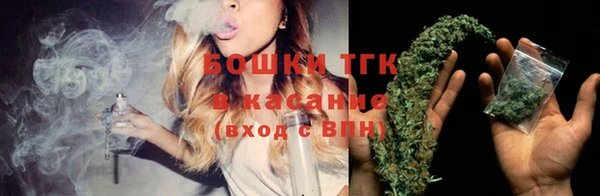 PSILOCYBIN Киренск