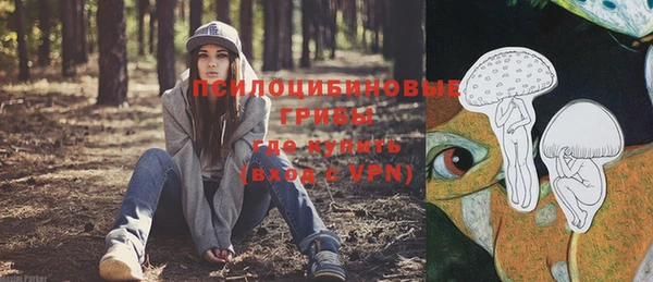 PSILOCYBIN Киренск