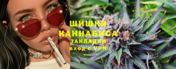 PSILOCYBIN Киренск