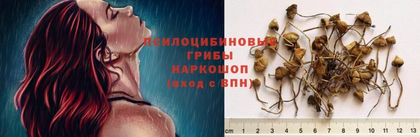 PSILOCYBIN Киренск