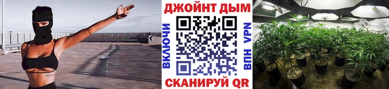 нарко площадка официальный сайт  Камышин  МАРИХУАНА AK-47 